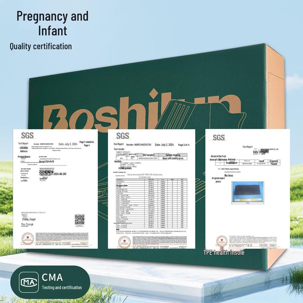 Car Floor Mats for AION Y PLUS/S PLUS, AION V, Tyrannosaurus Rex/RT, HAOBO HT/UT