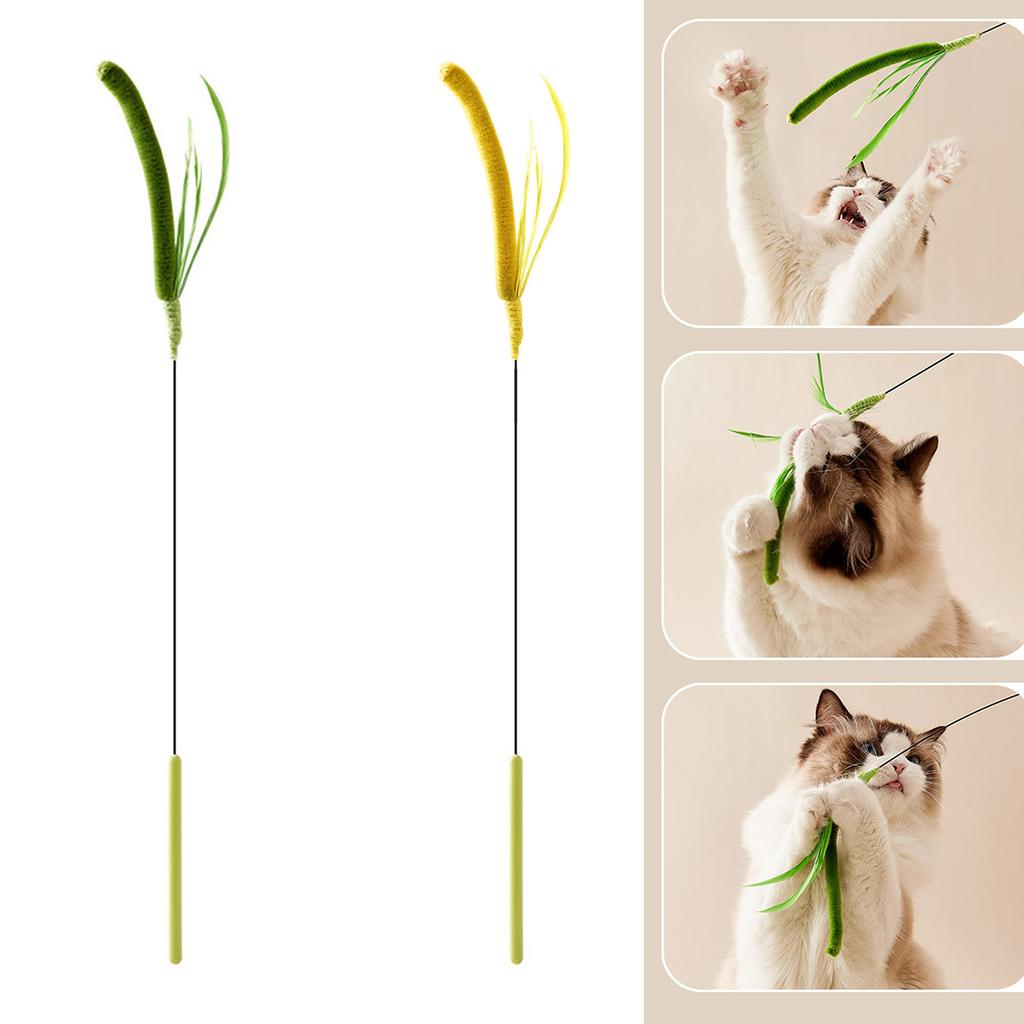 Pet Cat Teaser Rod for Stimulating Feline Curiosity Wand with Foxtail Setaria Grass for Active Pets and Fun Exercise