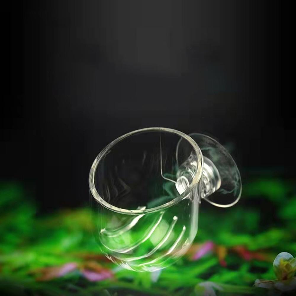Aquarium Red Worm Feeder Cup Simplicity Transparent Fish Tank Suction Cup Feeder Live Blood Worm Food Container Aquascaping Tool