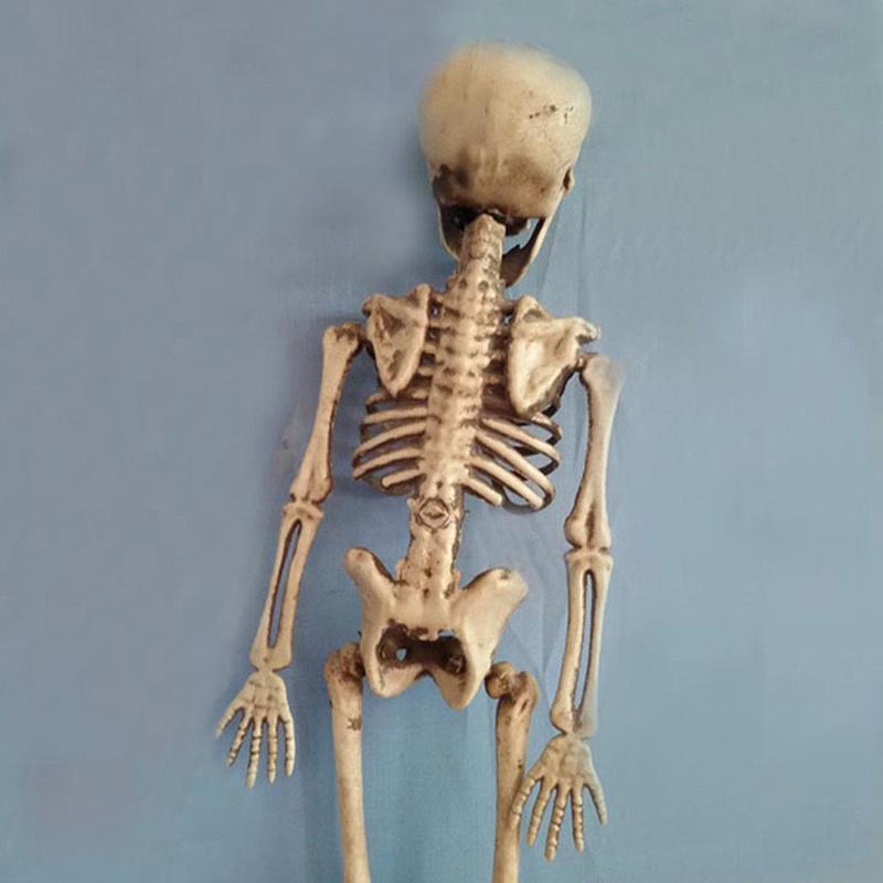 Human Skeleton Scary Skull Haunted House Halloween Prop Party Decor Atmosphere