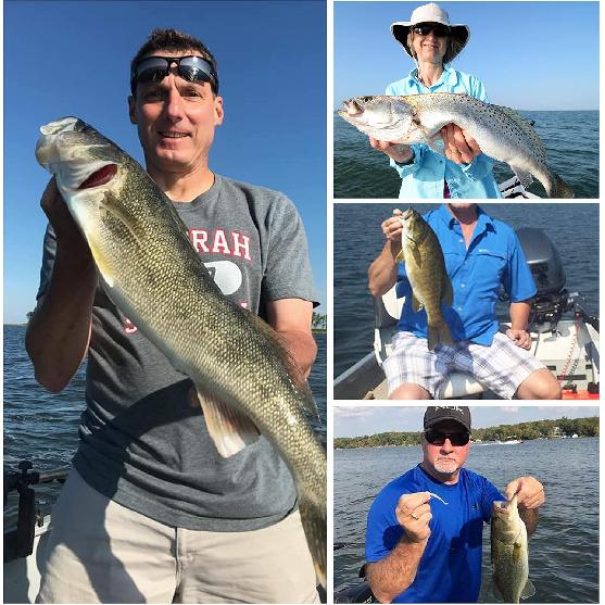 Soft Fishing Lures Pre-Rigged Swimbait Jig Head Paddle Tail Swim Baits Swim Shad Lures Soft Plastic Swimbait Bass Trout Walleye Sinking Baits Fishing