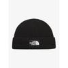 The North Face Big Logo Beanie NE3BR61F BLK 190235