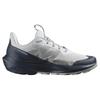 SALOMON Elixir Activ Grigio Ghiaccio Carbonio Sneakers Uomo Verde Ardesia L47455400