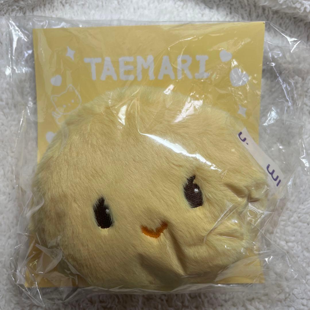 

[USED] SHINee Taemin Pouch Temari