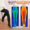 brushed lining cold protection inner skin 1200 compression super high waist heated for cold protection Free [TEEN KEEP] Kotatsu-like tights, bottoms,