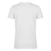 AWD Mens Celtic T-Shirt