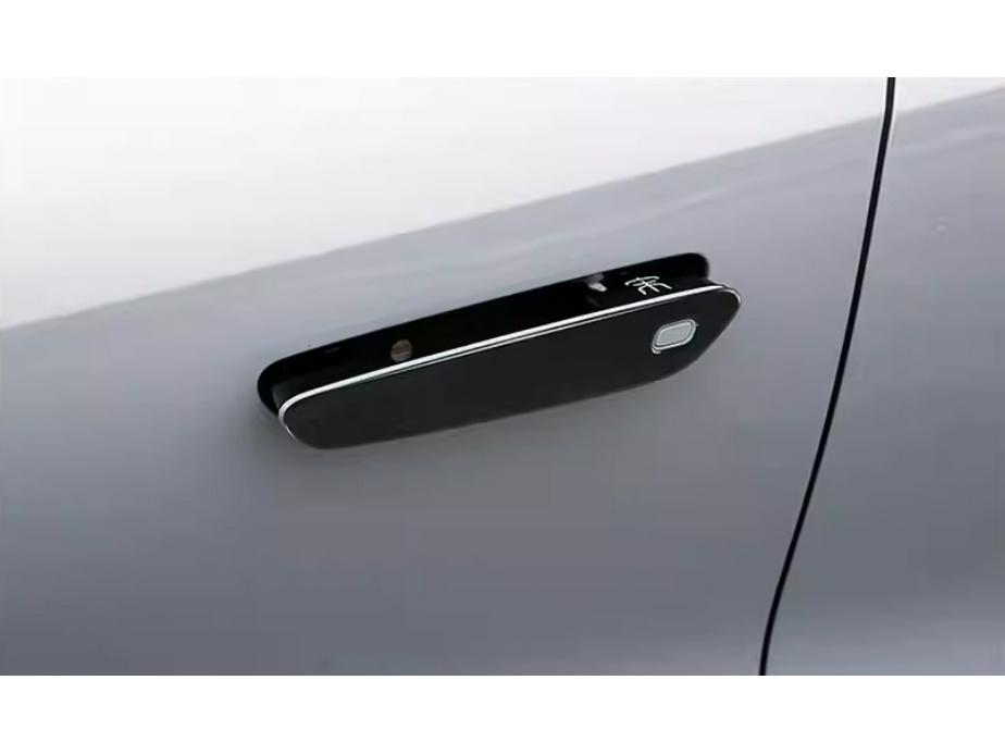 BYD 24 Song L-EV Rivestimento Griglia, Copri Specchietto, Scatola Elettrica, Maniglia Porta, Luci Fendinebbia
