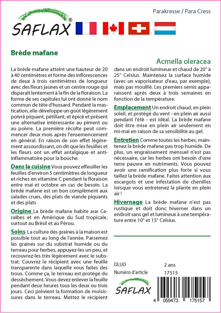 SAFLAX Dárková sada - Para Cress - 500 semen - S dárkovou krabičkou, kartou, štítkem a substrátem pro zalévání - Acmella oleracea