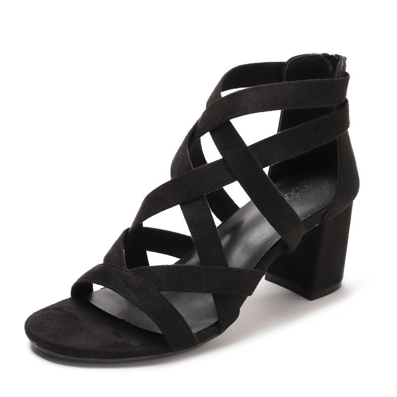 Sandals Women Fashion 2025 New Versatile Coarse Heel Roman Style High Heels Women Sandals Rear Zipper Summer Womens Shoes