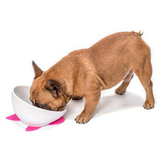 Colorful Elizabethan Collar for Cats & Dogs - Soft, Anti-Bite, Anti-Lick Neck Protection.