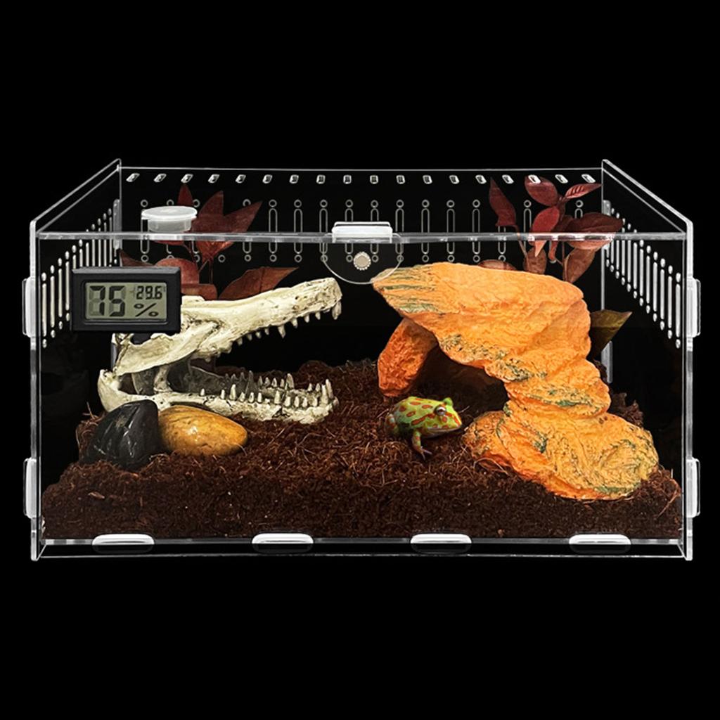 Insect Feeding Box Acrylic Transparent Breeding Cases for Spiders Reptiles Lizards Centipedes Small Snake 2 Size