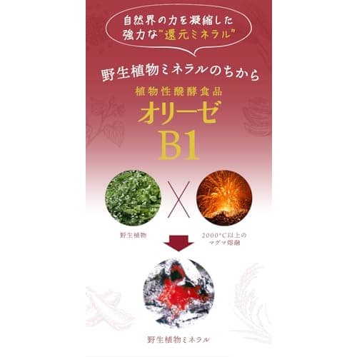 Oryze M, a fermented vegetable food