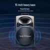 15-inch Portable Bluetooth KTV Speaker with Dual Microphones