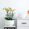 1/3/12Pcs Plant Support Cage Frame Greenhouses Flower Stand Holder Plant Arrangement Fixed Rod Pile Garden Bonsai Accessories