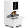 Gopai GP-5250 Automatic Financial Binding Machine CN Plug (adapter Included)