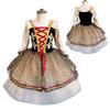 Romantic Swan Lake Ballet Dress Puffy Princess Dress Fashion Kids Ballet Dress  Kids Girls