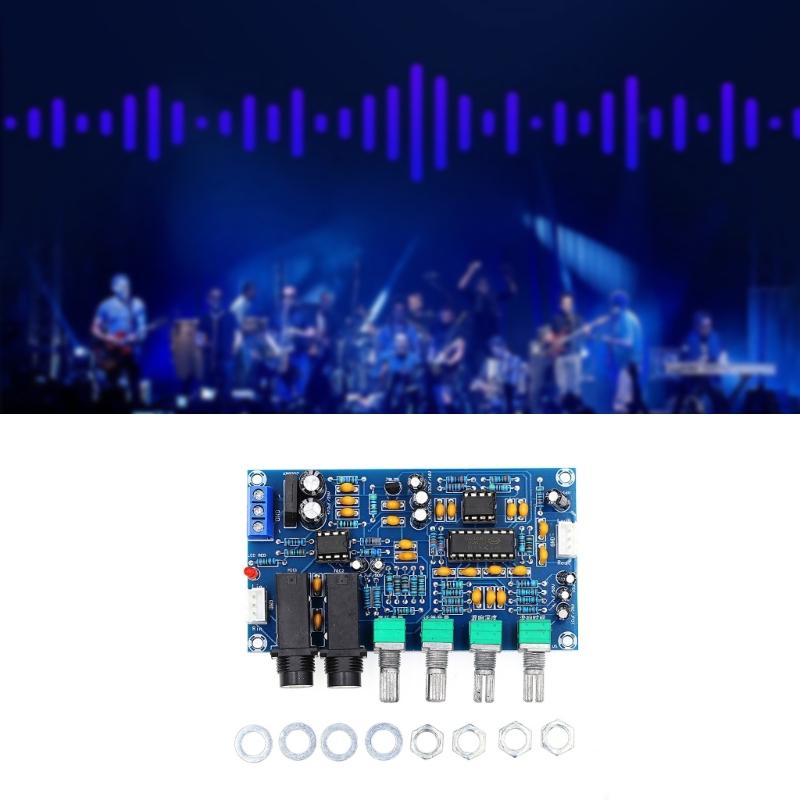 Mikrofon-Verstärkerplatine XH-M173 Karaoke-Hallplatine Kompatibel mit dynamischen Mikrofonen für Partys und Veranstaltungen
