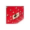 Valentino Studded Chain Leather Shoulder Crossbody Bag Women Bags Red SW2B0122-NAP-JU5