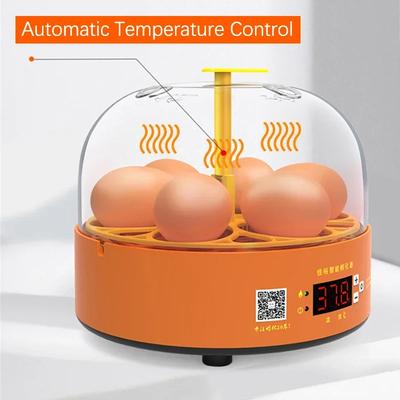 6 Egg Incubator Automatic Turning Temperature Control Breeding Hatchery Chicken Quail Duck Birds Mini Brooder Incubation Device