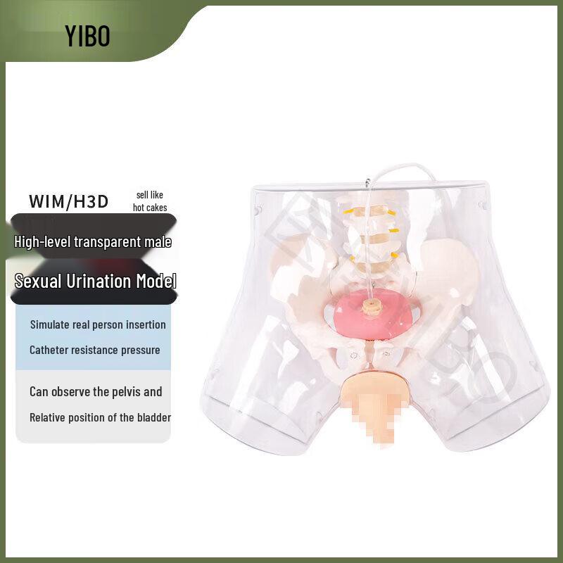 WIM/H3D Продвинутая прозрачная модель для катетеризации и клизмы у мужчин