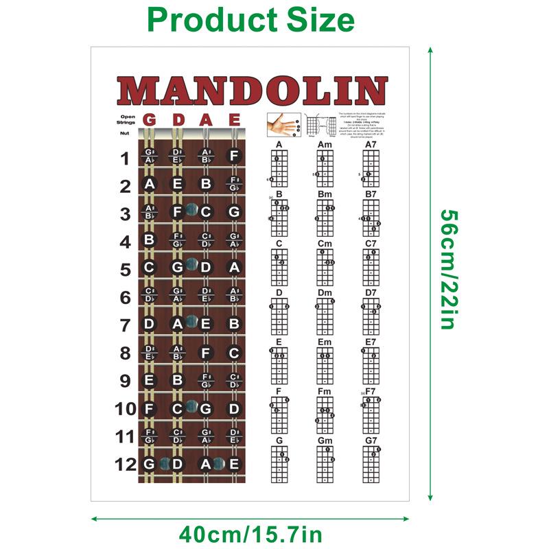 Mandolin Chord and Fingering Practice Chart