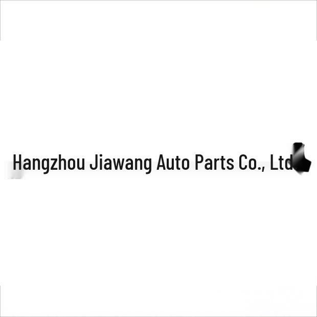 Toyota Prado 2009 Skirt Trim (75805-60050-C0 R 75806-60050)