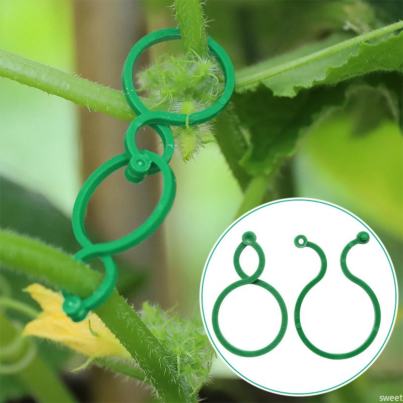 20/50/100Pcs Garden Vine Strapping Clips Plastic Bundled Buckle Ring Tomato Flowers Plant Stems Fixing Tie Garden Accessories