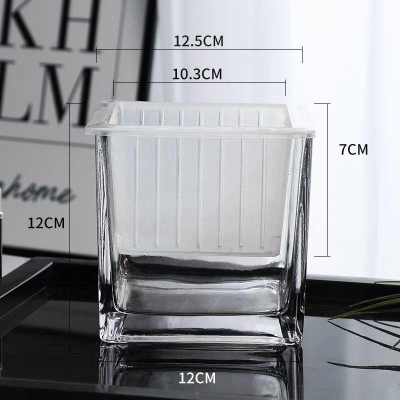 Hydroponic Glass Cylinder Vase for Pothos & Peace Lily - Transparent Water Culture Container with Free Shipping.