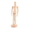 Limbs Art Models Sketch Draw Sketch Supplies Wooden Toy Figure Model Mannequin Action Toy Figures