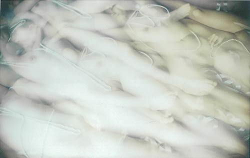 Nanano Photo Collection My Aesthetic Feeling