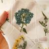 Exquisite Hollow Lace Flower Embroidery Fabric Floral Plants Cotton Gauze Fabric For Diy Sewing Baby Clothes Shirts Garments