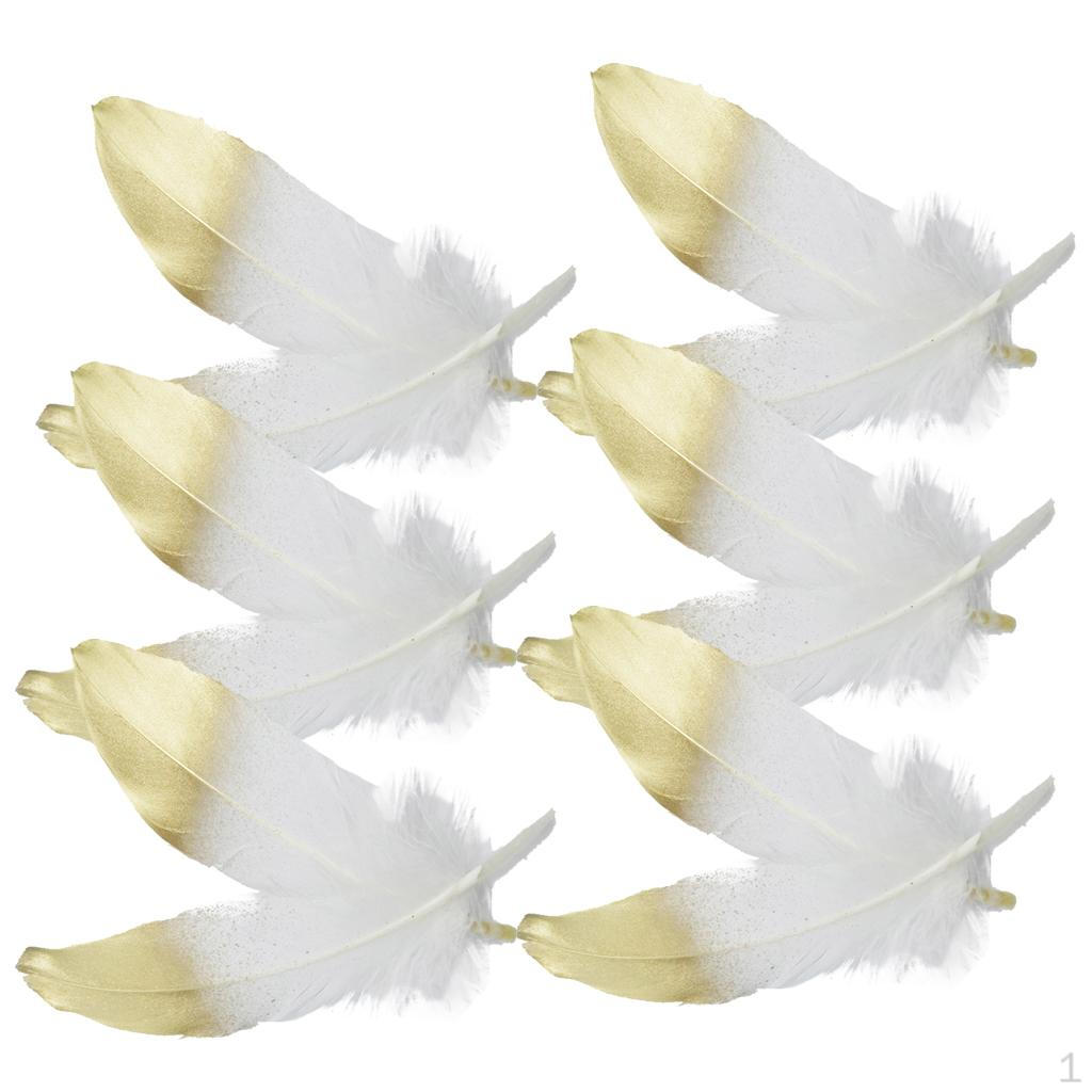 12 Pcs Natural Feathers 15-20cm for Arts and Various Crafts, , Wedding Party Dress-ups