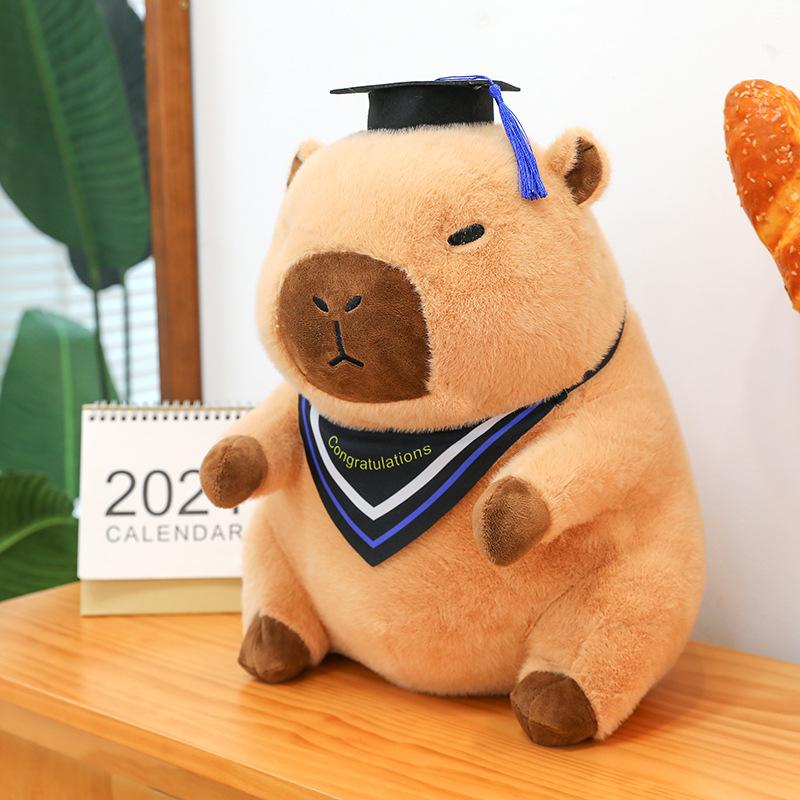 Dr. Capybara Kapibara Doll Doll Hat Plush Toy Ragdoll Graduation Souvenir Gift