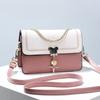 This year's popular bag 2025 new bag women's summer messenger bag fashion small square bag