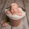Zartes Blumen-Stirnband für Neugeborene für süße & frische Fotoshootings