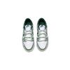 Nike Dunk Dreamy Phantom Thermal Slip Resistant Balance Lightweight Breathable Low Top Skateboard Shoes Unisex Green DD1391-101(Team776-)