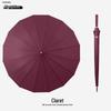 Windproof Double Canopy Umbrella with 24 Ribs and Long Handle