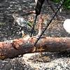 Outdoor Manual Manganese Steel Wire   Chain Saw Emergency Survival Tool 11 Cutter (Orange)