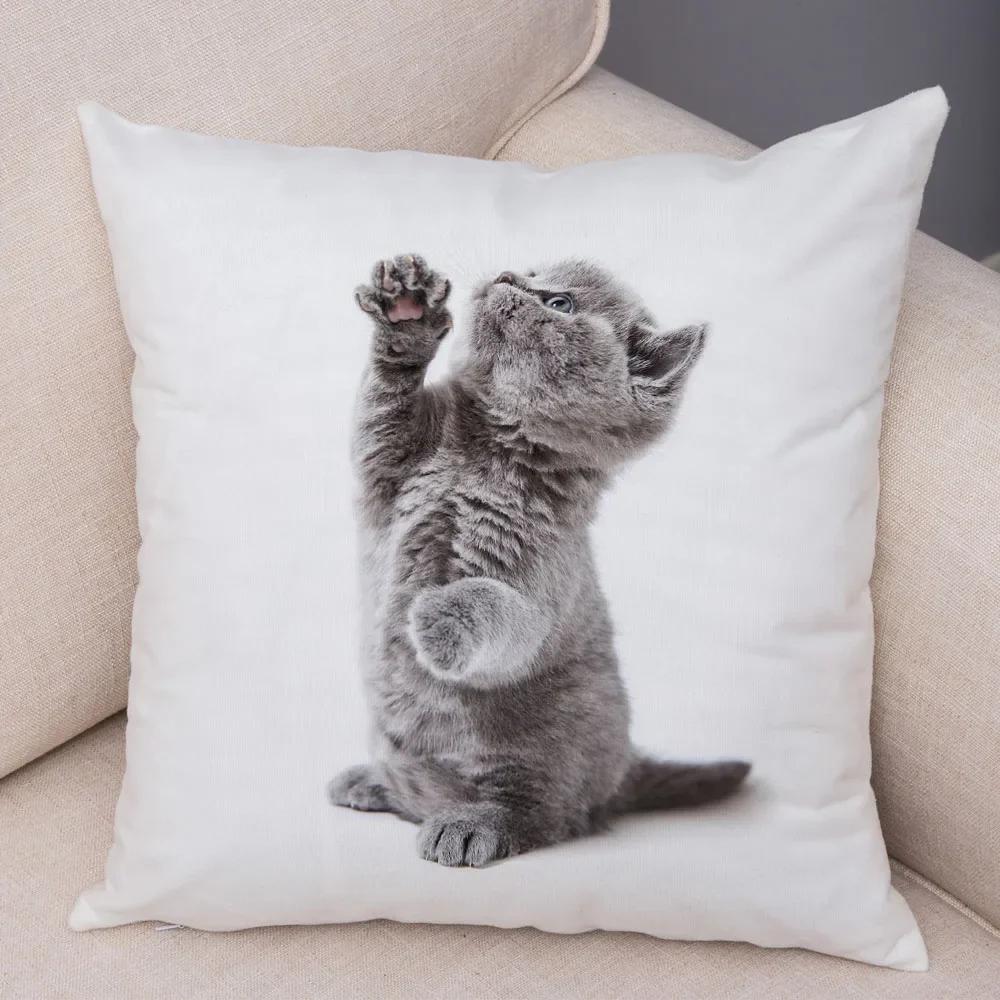 1PC 45x45cm Cute Cat Pillowcase for Home Sofa Children Room Decor Lovely Pet Animal Print Cojines Cushion Cover Pillow Case