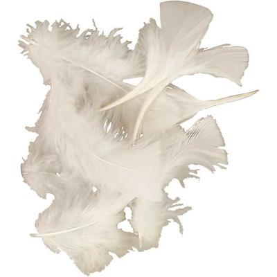Good Quality Turkey Feathers. Ref 51663
