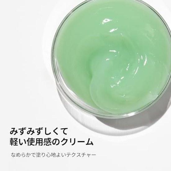 VTCOSMETICS Cica Cream 50ml Moisturizing Sensitive Skin Dry Skincare Roughness