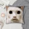 Cat Funny MEME Pillow Case Square Double-Sided Printing Short Plush Sofa Cushion Cover Bedroom Bedside Pillow