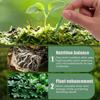 30Pcs/Box Plant Rooting Fertilizer New Indoor Potted Plant Growth Enhancer Bar Universal Plant Nutrition Stick Garden Supplies