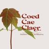 Coed Cae Claer by Helen May Williams Paperback Book 9781788641395