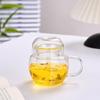 325ml Teewasser-Trennung Filter Teetasse Hohes Borosilikatglas Teetassen mit Infuser Büro Blume Teetasse