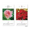 New Japan Calendar 2026 Flower Daily NK8829 Calendar, Calendar,