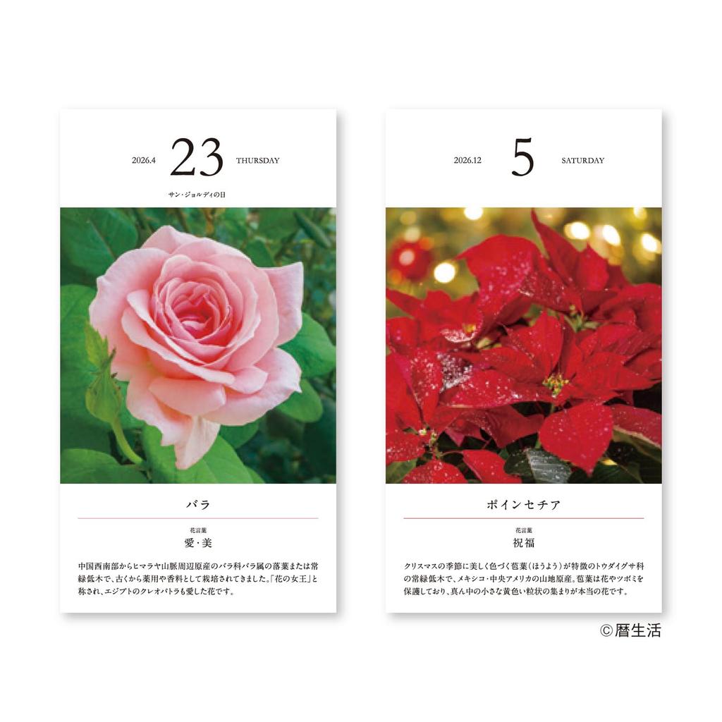 New Japan Calendar 2026 Flower Daily NK8829 Calendar, Calendar,