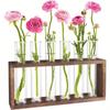 3/5 Test Test Tube Vases Transparent Glass Glass Planter Hydroponic Plants Container  Weddings