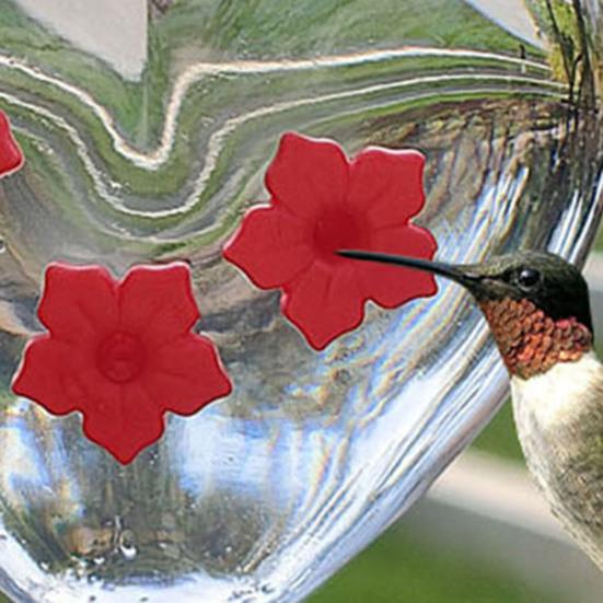 Heart-Shaped Hummingbird Feeder Outdoor Hanging Plastic Feeder Jar with Flower Feeding Ports