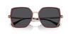 Emporio Armani Sunglasses EA2142D Shiny Rose Bordeaux 56 Women's Gold/Opal